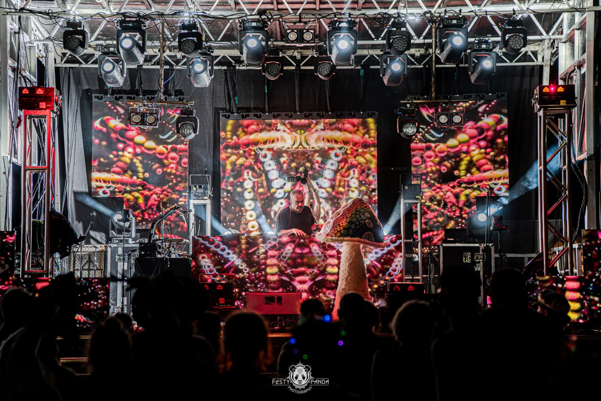 DJ set with psychedelic visuals and a giant mushroom